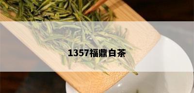 1357福鼎白茶