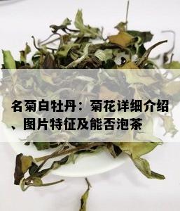 名菊白牡丹：菊花详细介绍、图片特征及能否泡茶