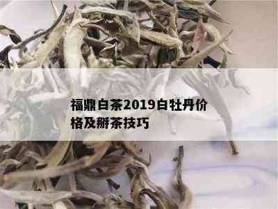 福鼎白茶2019白牡丹价格及掰茶技巧