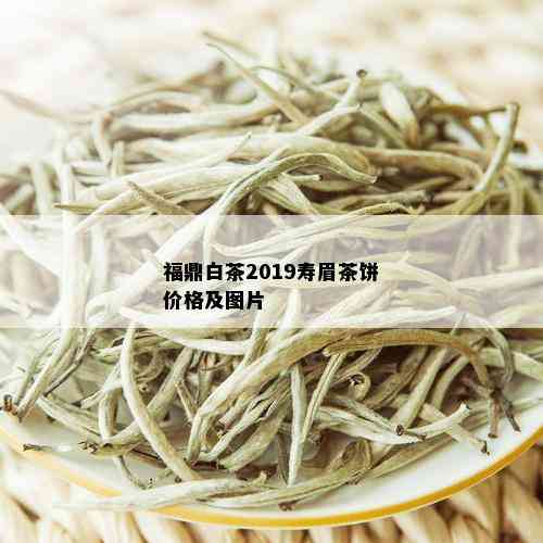 福鼎白茶2019寿眉茶饼价格及图片