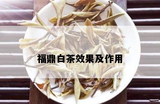 福鼎白茶效果及作用