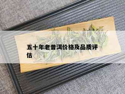 五十年老普洱价格及品质评估