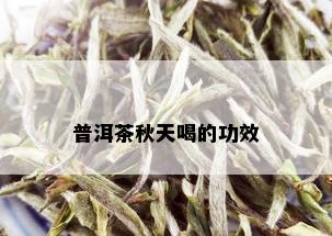 普洱茶秋天喝的功效