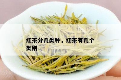 红茶分几类种，红茶有几个类别