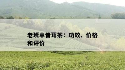 老班章普茸茶：功效、价格和评价