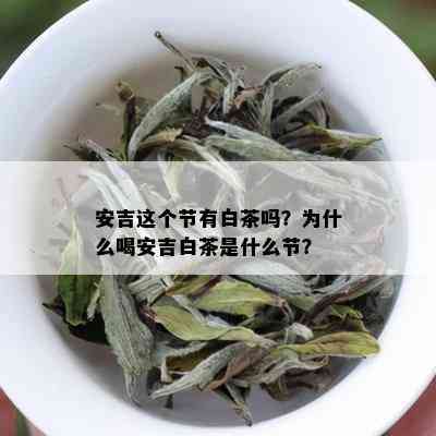 安吉这个节有白茶吗？为什么喝安吉白茶是什么节？