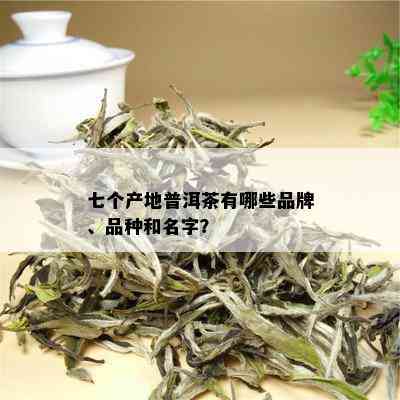 七个产地普洱茶有哪些品牌、品种和名字？