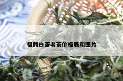 福鼎白茶老茶价格表和图片