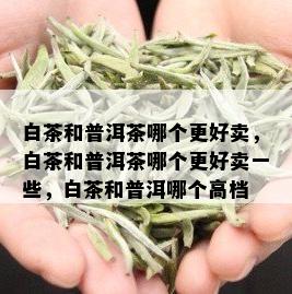 白茶和普洱茶哪个更好卖，白茶和普洱茶哪个更好卖一些，白茶和普洱哪个高档