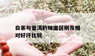 白茶与普洱的味道区别及相对好坏比较