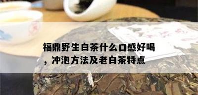 福鼎野生白茶什么口感好喝，冲泡方法及老白茶特点