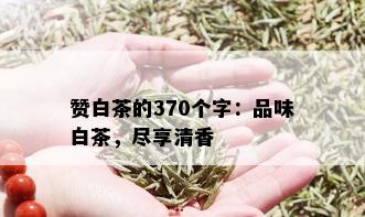 赞白茶的370个字：品味白茶，尽享清香