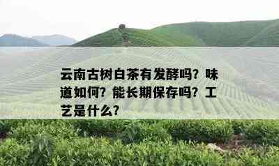 云南古树白茶有发酵吗？味道如何？能长期保存吗？工艺是什么？