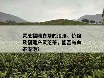 灵芝福鼎白茶的泡法、价格及福建产灵芝茶，能否与白茶混泡？