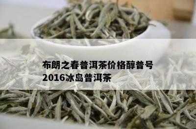 布朗之春普洱茶价格醇普号2016冰岛普洱茶