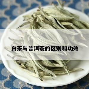 白茶与普洱茶的区别和功效