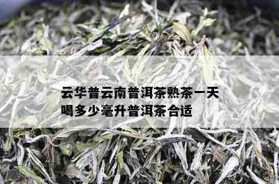 云华普云南普洱茶熟茶一天喝多少毫升普洱茶合适