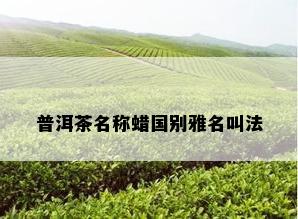 普洱茶名称蜡国别雅名叫法