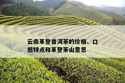 云南革登普洱茶的价格、口感特点和革登茶山意思