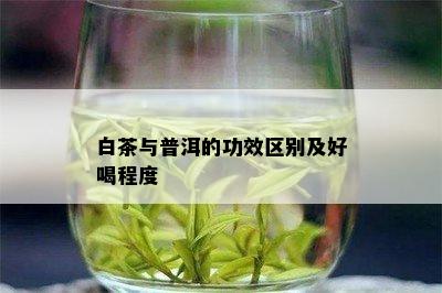 白茶与普洱的功效区别及好喝程度