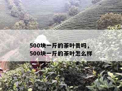 500块一斤的茶叶贵吗，500块一斤的茶叶怎么样