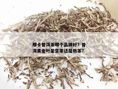 那卡普洱茶哪个品牌好？普洱黄金叶是生茶还是熟茶？