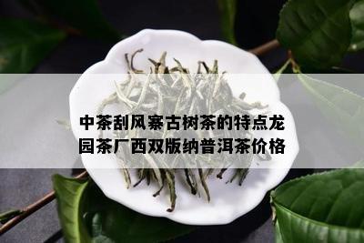 中茶刮风寨古树茶的特点龙园茶厂西双版纳普洱茶价格