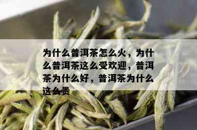 为什么普洱茶怎么火，为什么普洱茶这么受欢迎，普洱茶为什么好，普洱茶为什么这么贵