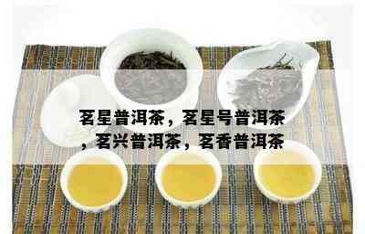 茗星普洱茶，茗星号普洱茶，茗兴普洱茶，茗香普洱茶