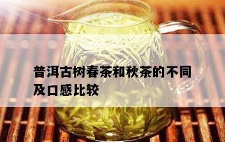 普洱古树春茶和秋茶的不同及口感比较