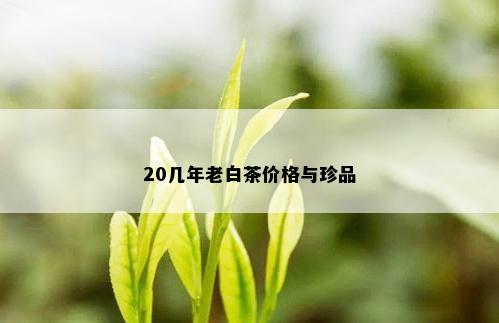 20几年老白茶价格与珍品