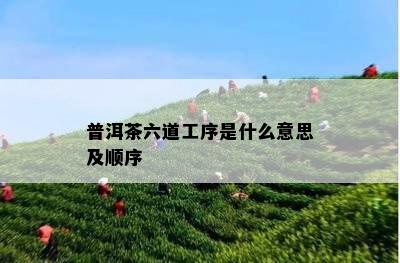 普洱茶六道工序是什么意思及顺序