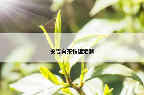 安吉白茶铁罐定制