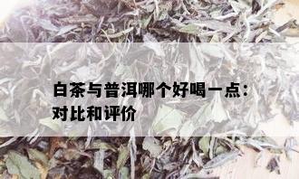 白茶与普洱哪个好喝一点：对比和评价