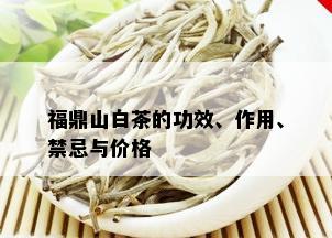 福鼎山白茶的功效、作用、禁忌与价格