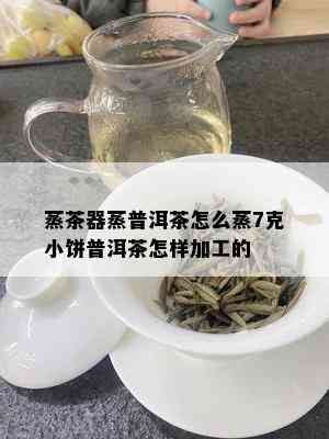 蒸茶器蒸普洱茶怎么蒸7克小饼普洱茶怎样加工的