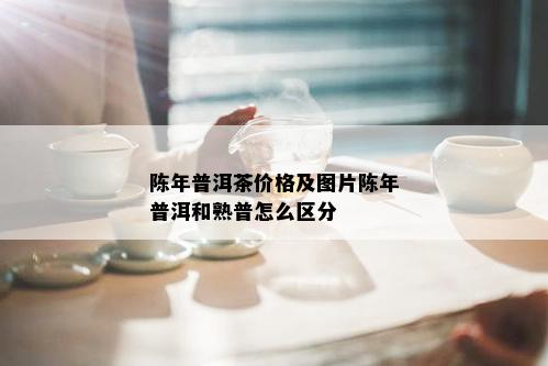 陈年普洱茶价格及图片陈年普洱和熟普怎么区分