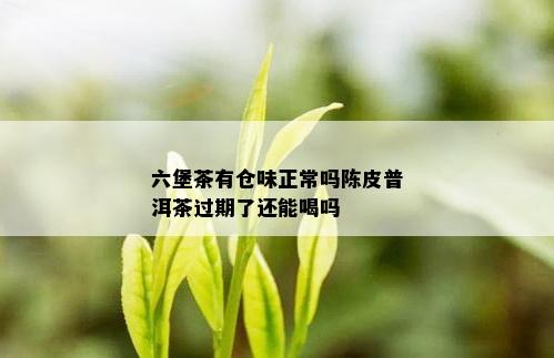 六堡茶有仓味正常吗陈皮普洱茶过期了还能喝吗