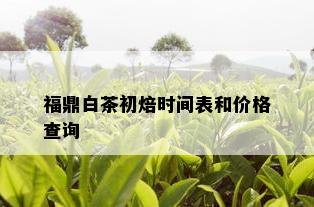 福鼎白茶初焙时间表和价格查询