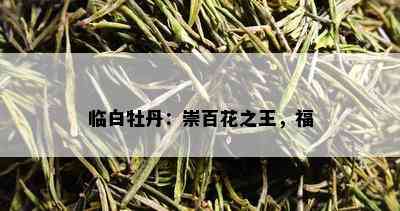 临白牡丹：崇百花之王，福