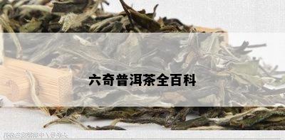 六奇普洱茶全百科