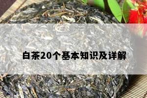 白茶20个基本知识及详解