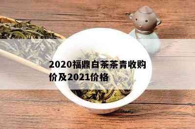 2020福鼎白茶茶青收购价及2021价格