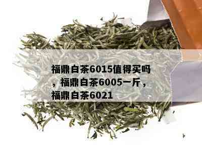 福鼎白茶6015值得买吗，福鼎白茶6005一斤，福鼎白茶6021