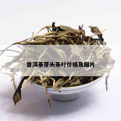 普洱茶芽头茶叶价格及图片