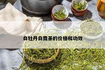 白牡丹白露茶的价格和功效