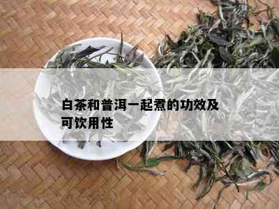 白茶和普洱一起煮的功效及可饮用性