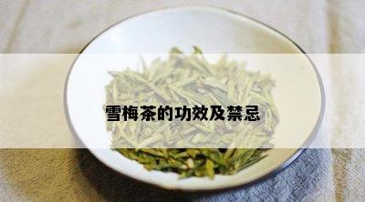 雪梅茶的功效及禁忌