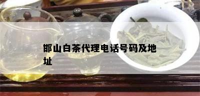 邯山白茶代理电话号码及地址