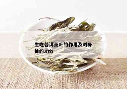 生吃普洱茶叶的作用及对身体的功效